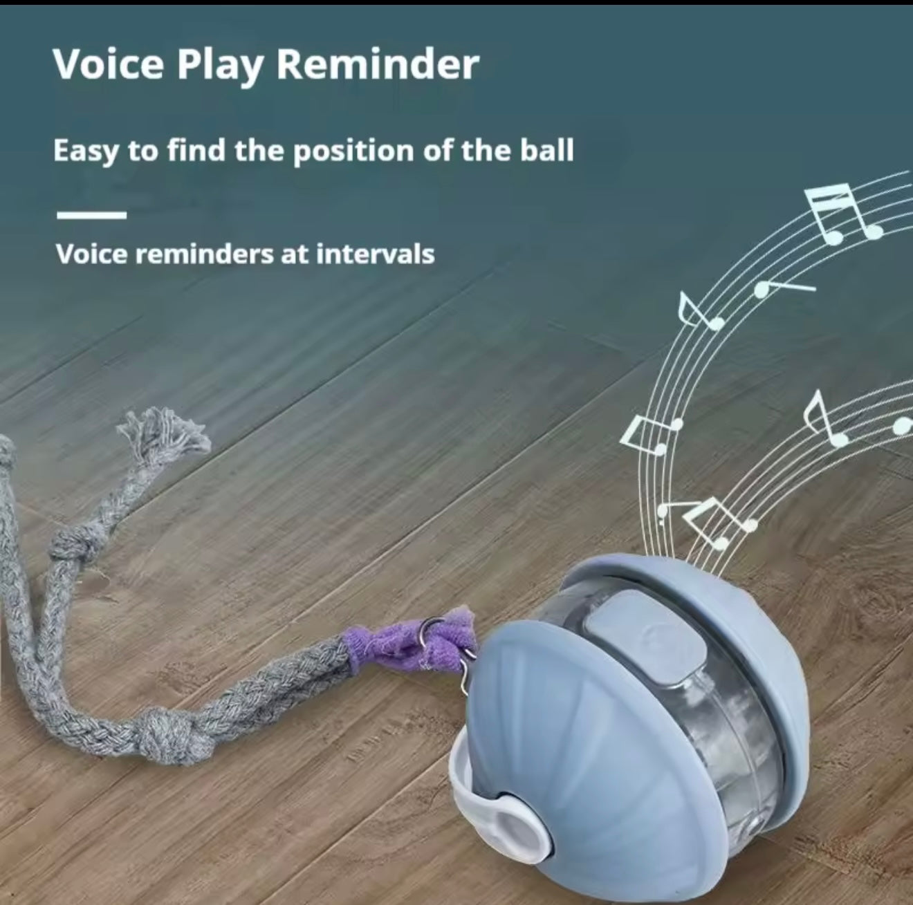 Smart Rolling Cat Ball – Keep your cat active with fun and lights
